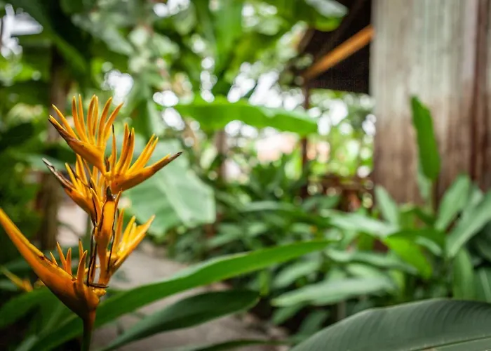 Resort Authentic Khmer Village 5*